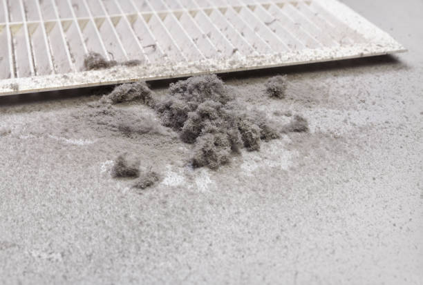 Best HVAC System Cleaning  in Plentywood, MT
